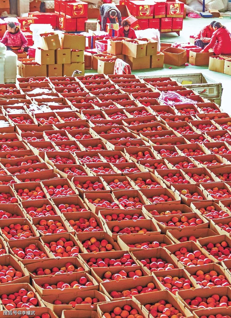 食品批发的行业风向标:未来发展趋势与机遇